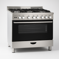 Vellaro Maestro 90 Pro Gas Range